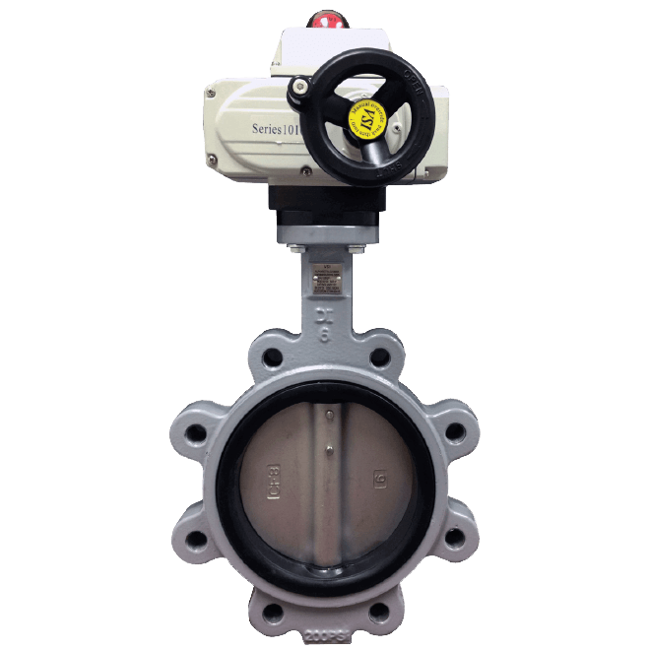 VSI Butterfly Valve, 2100 Series